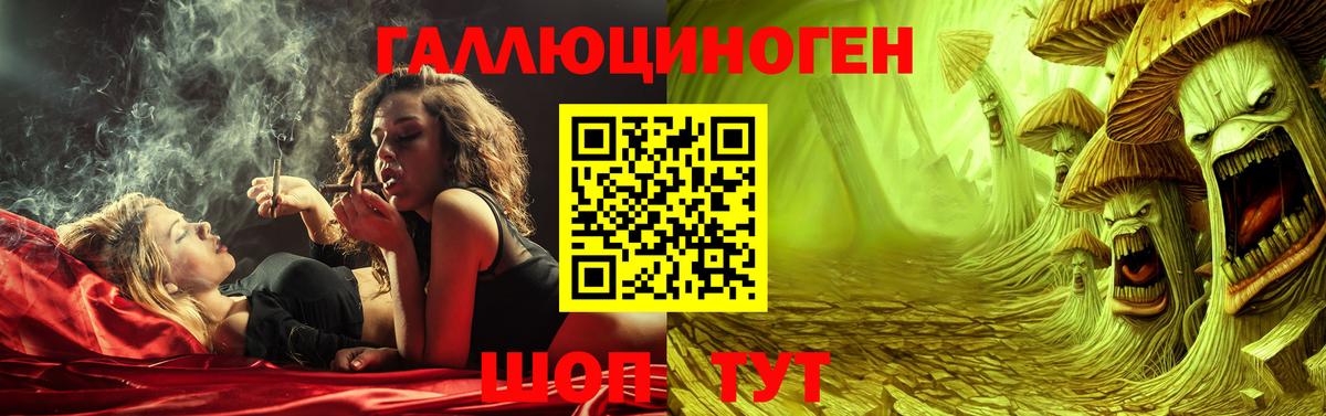 Галлюциногенные грибы мухоморы Нальчик