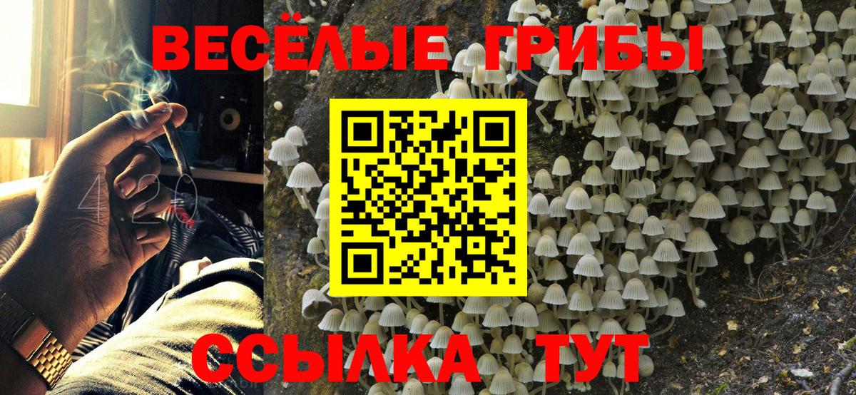 Нальчик  Псилоцибиновые грибы GOLDEN TEACHER  Вход с VPN 